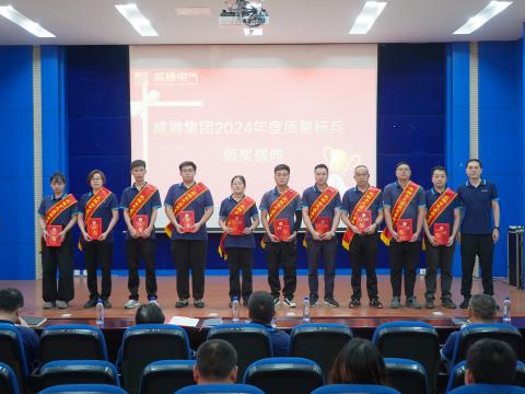 和记官网电气集团召开2024年度质量月总结表扬大会