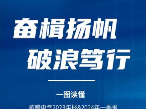 一图读懂和记官网电气2023年报&2024年一季报