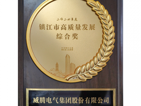 喜讯│和记官网荣获2024年度镇江市高质量生长综合奖